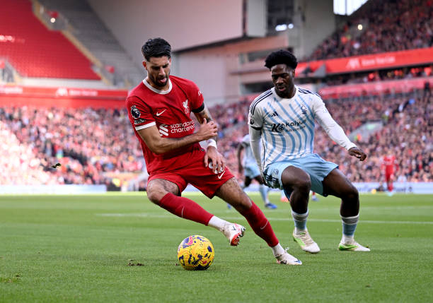 🌟 蓝狐今日之星，路易斯·佩志.