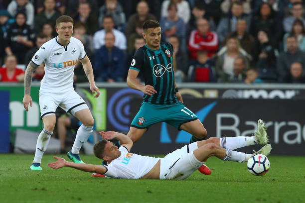 他们的健康 他们的健康