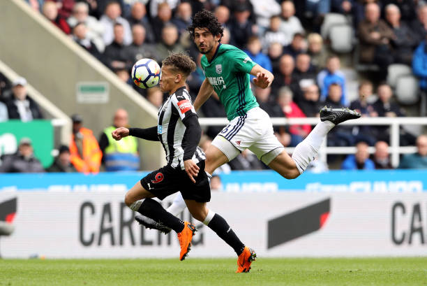 堪称是网球 堪称是网球